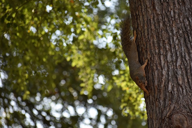 回顾这位法 回顾这位法