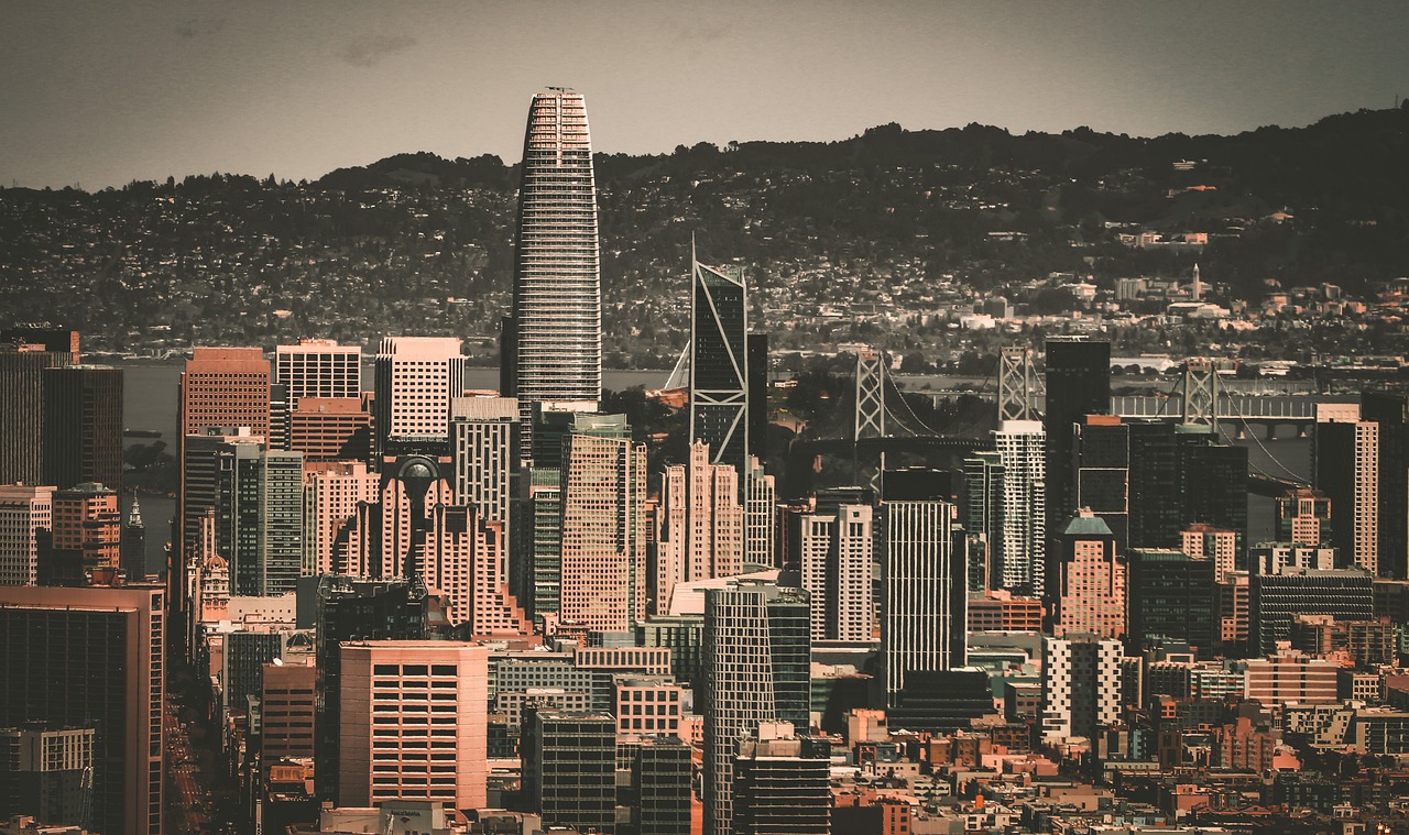 技术特点 技术特点