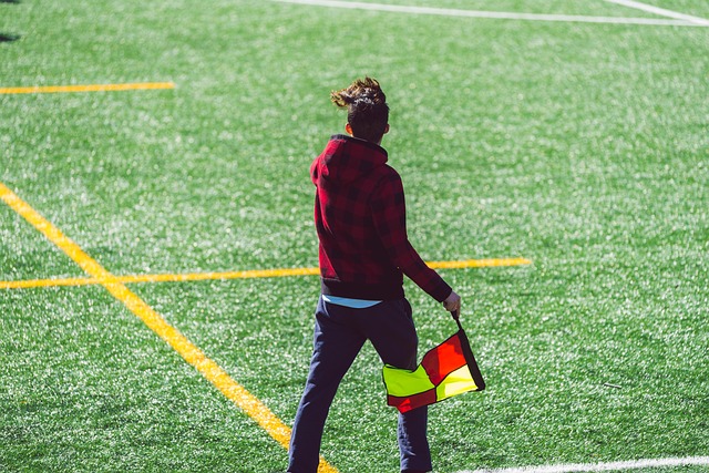 的乐趣与挑 的乐趣与挑