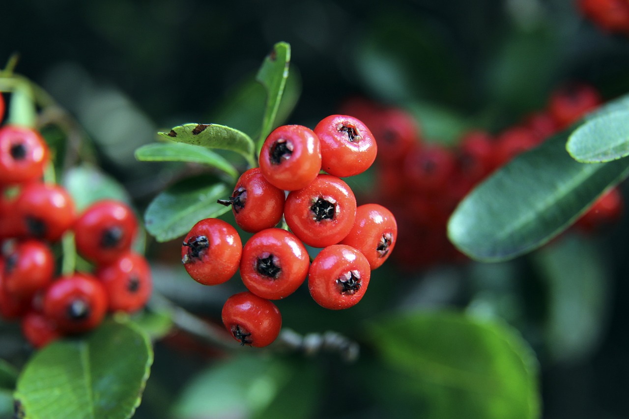 是球队的潜 是球队的潜