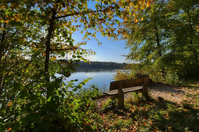 是未知数 是未知数