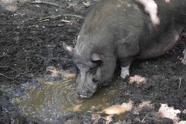 通过借鉴其 通过借鉴其